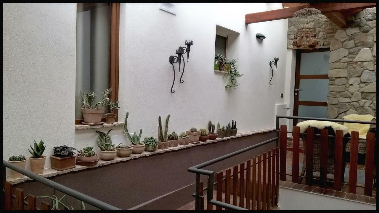 Casa Vacanze Borc Dai Cucs Faedis Екстериор снимка